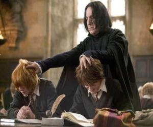 Układanka Profesor Severus Snape, studiując i Harry Potter Ron Weasley
