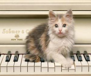 Układanka Przede kotek gry na fortepianie