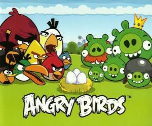 Układanka Ptaki, jaja i zielony świń w Angry Birds