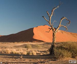 Układanka Pustynia Namib, Namibia