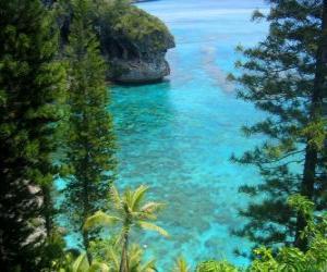 Układanka Rafy i ekosystemy, francuski archipelagu Nowej Kaledonii, położone na Oceanie Spokojnym.