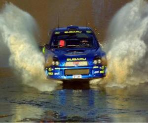 Układanka Rajdy WRC - wody przepływającej