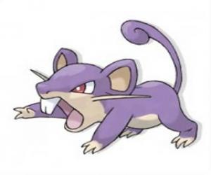 Układanka Rattata - Pokemon normalną czcionką, szybkie ataki szczurów