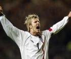 David Beckham z okazji cel
