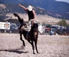 Rodeo - Jeździec w siodle konkurencji bronc, miłośników dzikiego konia