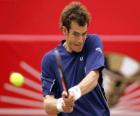 Andy Murray gotowa do zamachu