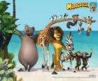 Gloria Hippo, żyrafa Melman, lew Alex, zebra Marty z innymi bohaterami przygody