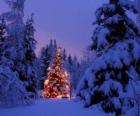 Boże Narodzenie drzewo w lesie