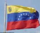 Flaga Wenezueli, składa się z trzech poziomych pasów równej wielkości kolorów żółty, niebieski i czerwony, z łuku ośmiu gwiazdek w niebieskie paski