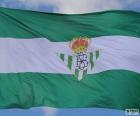 Real Betis Flaga