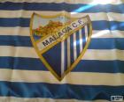 Flaga CF Malaga, niebieskie i białe paski poziome