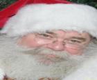 Zadowoleni z Santa Claus kapelusz i białą brodę