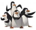 Pingwiny, Skipper, Kowalski, Rico i prywatnych.