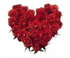 Serce z czerwonych róż