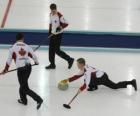 Curling to sport precyzji zbliżonej do miski lub bocce angielskim, występował w lodowisko.
