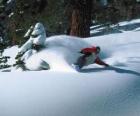 Snowboarder malejąco świeżym śniegu