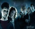 Harry Potter ze swymi przyjaciółmi
