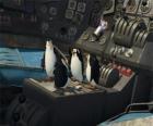 Pingwiny naprawy starych rozbił się samolot