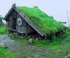 Viking Dom