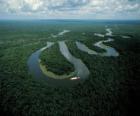 Rio Amazonas, w kompleksie ochrony Środkowej Amazonki, Brazylia