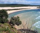 Wyspa Fraser, piaszczysta wyspa jest 122 km długości i jest największym na świecie w swoim rodzaju. Australia.