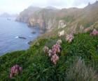 Wysp subantarctic, obejmujący wyspy Snares, Bounty, Antypodów, Auckland i Campbell, znajduje się w Oceanie Południowym, na południowy wschód od Nowej Zelandii.