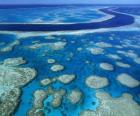 Wielka Rafa Koralowa, rafy koralowe na całym świecie największe. Australia.