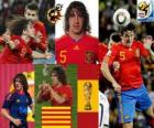 Carles Puyol (szef Hiszpania) Hiszpański zespół obrony