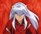 InuYasha jest głównym bohaterem przygód. On jest pół-demon, urodził się ojciec demon psów i ludzkiej matki