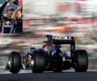 Mark Webber - Red Bull - Suzuka 2.010 (2 niejawne º)