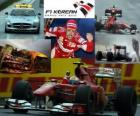 Fernando Alonso świętuje zwycięstwo w Grand Prix Korei (2010)