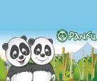 panda świecie Panfu
