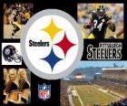 Pittsburgh Steelers