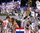 Club Libertad Clausura 2010 Champion (Paragwaj)