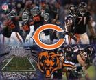 Chicago Bears