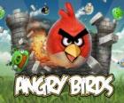 Angry Ptaki Rovio to gra wideo. Angry ptaki atakują świnie, którzy kradną jaj