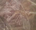 Widok z lotu ptaka jedną z postaci, ptak, część Nazca Lines w Nazca Desert, Peru