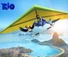 Blu ara, tukan Rafael Jewel i lotni latające nad miastem Rio de Janeiro