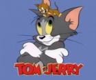Tom i Jerry się głównym bohaterem zabawnych przygód