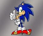 Jeż Sonic, głównym bohaterem gier wideo firmy Sega Sonic