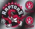 Toronto Raptors logo, zespół NBA. Dywizja Atlantycka, Konferencja wschodnia