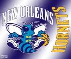 Logo New Orleans Hornets, zespół NBA. Dywizja Południowo-zachodnia, Konferencja zachodnia