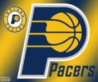 Logo NBA zespół Indiana Pacers. Dywizja Centralna, Konferencja wschodnia