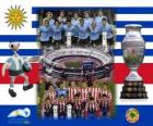 Urugwaj vs Paragwaj. Finał Copa America Argentyna 2011 roku. 24 lipca Stadion Monumental w Buenos Aires