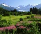Alaska w letni krajobraz