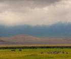 Norongoro - Tanzania -