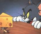 Tom kota zaskoczony Jerry myszy biorąc kawałek sera