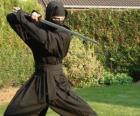 Ninja wojownika i walce z katana