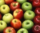 Jabłka różnych typów