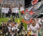 Corinthians, Championship w 2011 roku brazylijski